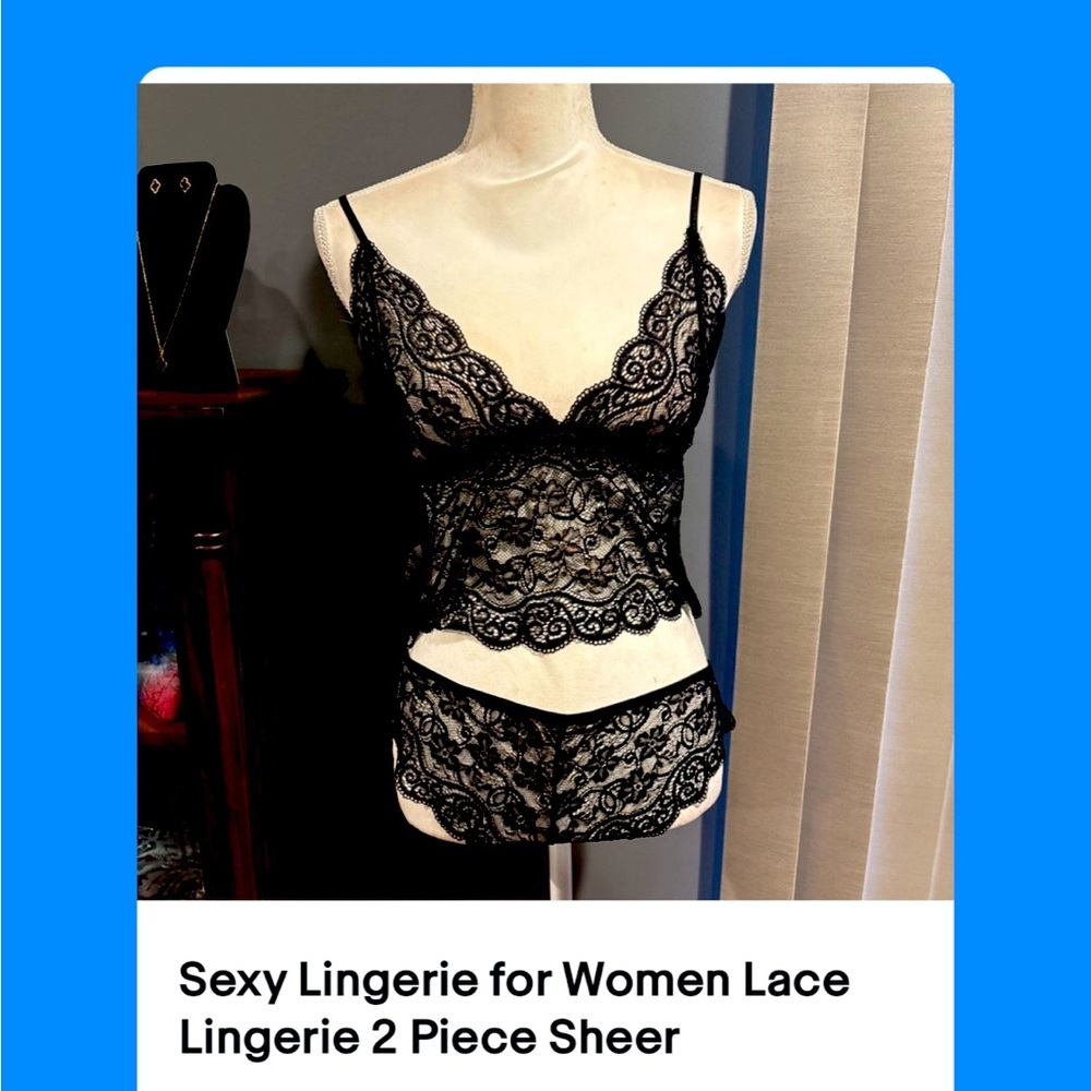 Sexy Lingerie for Women Lace Lingerie 2 Piece Sheer Matching Bra Panty Set